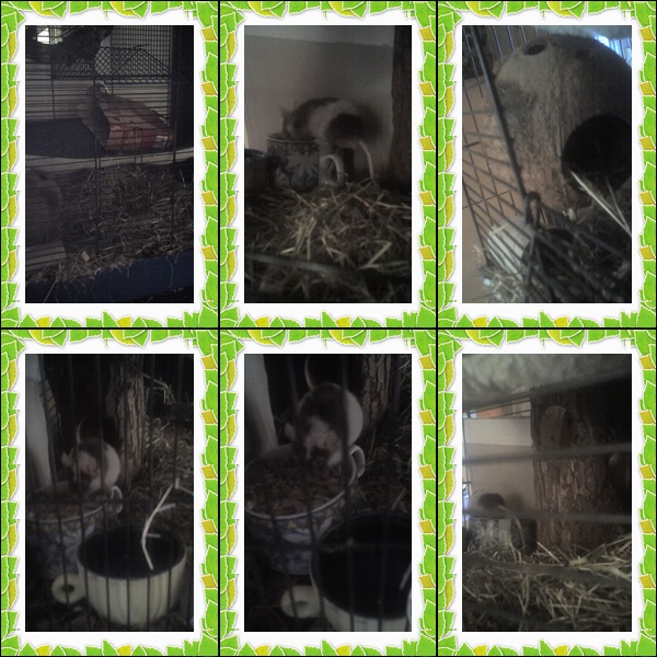 page.jpg (170280 Byte)